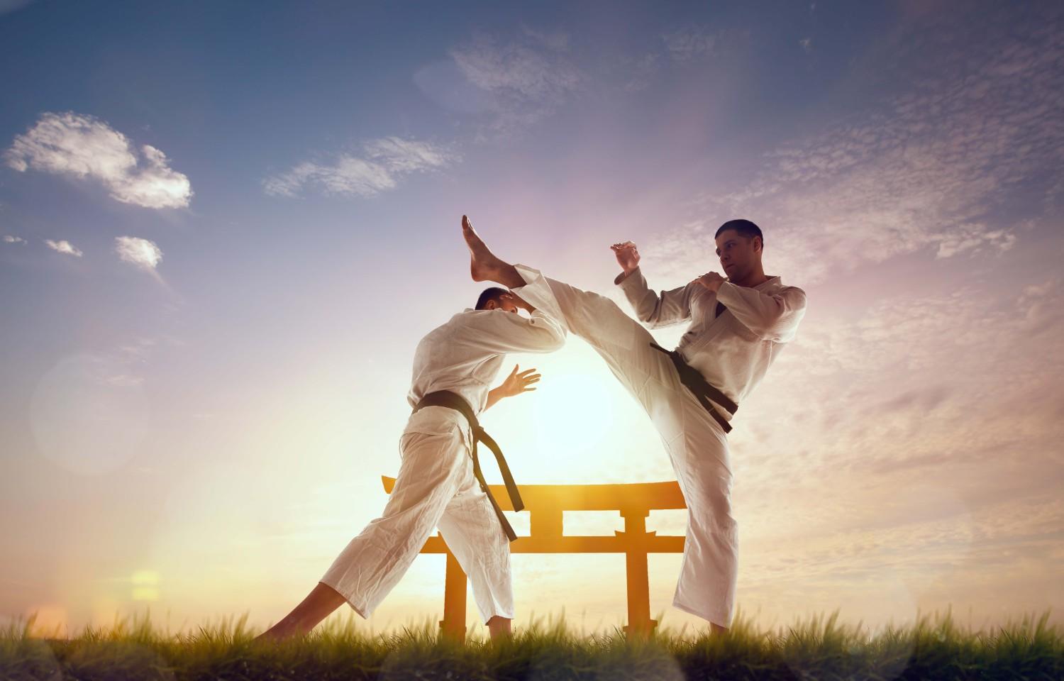 Black Belt Training