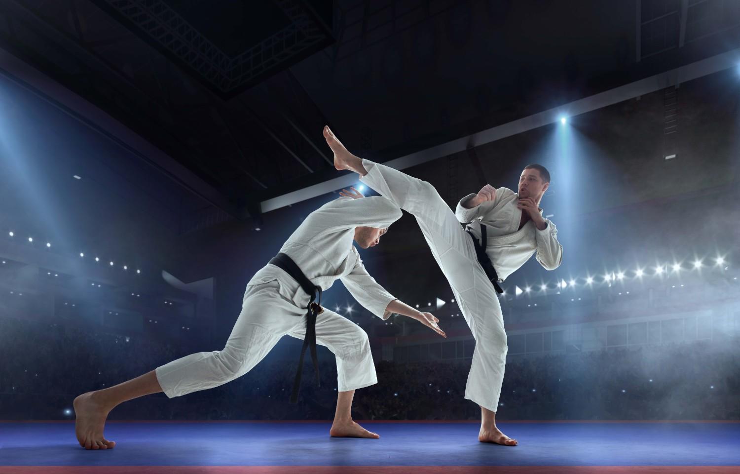 Family Karate Class